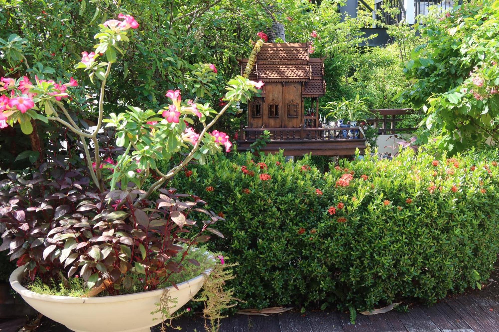 Banjai Garden Guesthouse — Photos 3
